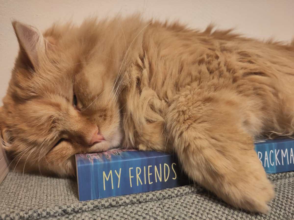 Books that inspired me in 2025